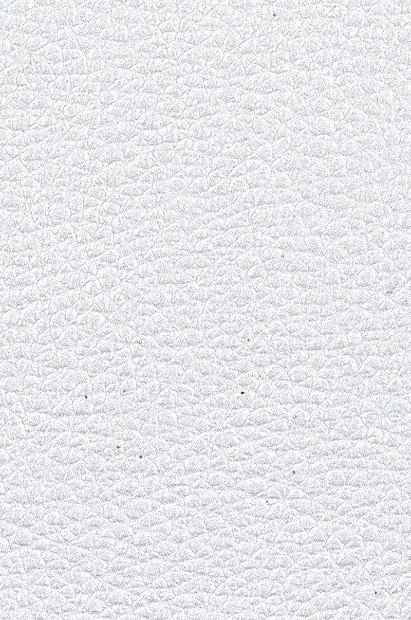 Elydecor - Oyster
